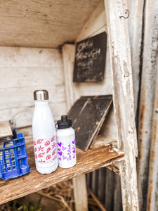 She sells sea shells by the sea shore- Adventure Division 500ml Water Bottle