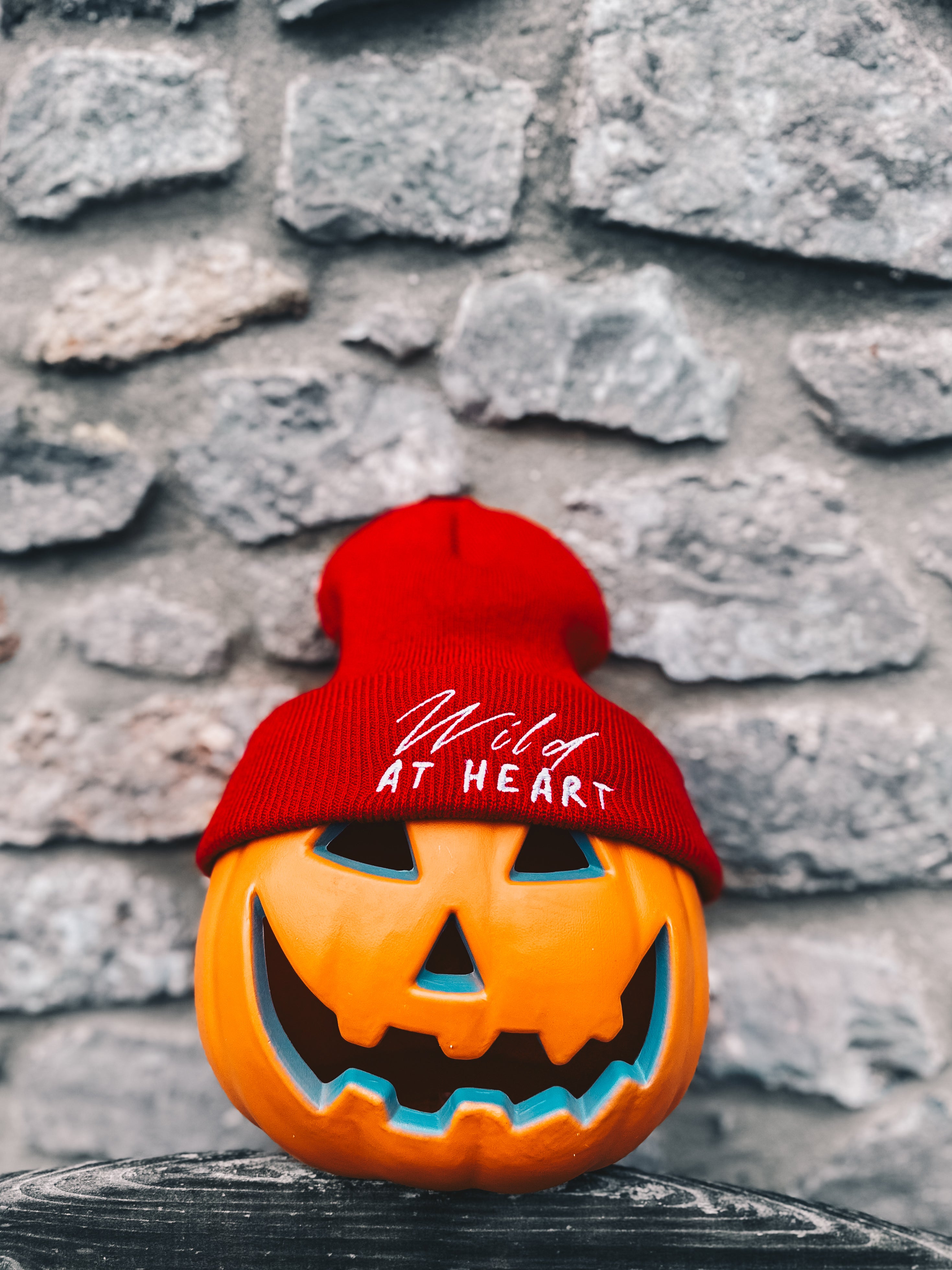 Kids Embroidered Cuffed Beanie Wild At Heart